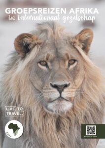 visual-brochures-live-to-travel-bib-december-2025