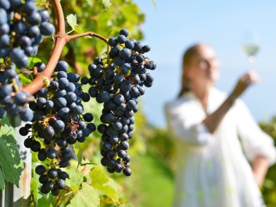 Menorca-Regio-Gastronomie-2022-wijn