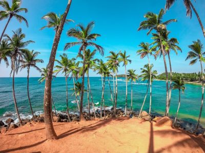 dinuka-lankaloka-iduEaeBB_rQ-unsplash groot