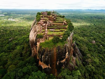 dylan-shaw-smUAKwMT8XA-unsplash groot