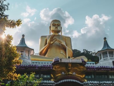 kevin-charit-BojD1DaERcE-unsplash groot